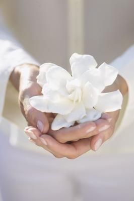 . Giving Hands, Heal The World, Foto Art, Shades Of White, Namaste, Flower Power, Reiki, White Flowers, Magnolia