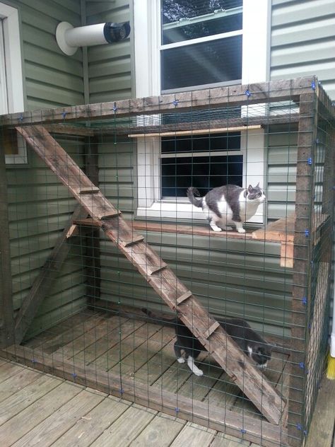 DIY outdoor CAT playpen Cat Playpen Outdoor, Diy Cat Playpen, Easy Diy Catios, Diy Kitten Playpen, Diy Cat Enclosure, Cat Playpen, Cat Fence, Cat Patio, Outdoor Cat Enclosure