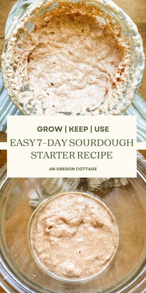 A simple sourdough guide that includes an easy sourdough starter recipe as well as the best ways to store and maintain a healthy culture. The uncomplicated 7-day tutorial shows you how to make starter from scratch in just minutes of hands-on time a day, how to keep it healthy for years, and a timeline for the types of recipes you can make with your new starter. With this resource you'll be saying goodbye to store bought sourdough bread for good! Sourdough Starter Recipes Easy, Herman Sourdough Starter, How To Make Sourdough Bread From Starter, How To Make A Sourdough Starter, How To Make Sourdough Starter, Sourdough Guide, Easy Sourdough Starter, Best Sourdough Starter Recipe, Dough Starter Recipe