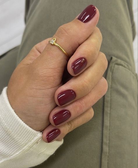 Wine Colored Gel Nails, Light Burgundy Nails, Fall Nails Pale Skin, Pink Nails Winter, Fall Red Nails, Red Nails Fall, Autumn Nails Ideas, Autumnal Nails, Gel Nails Fall