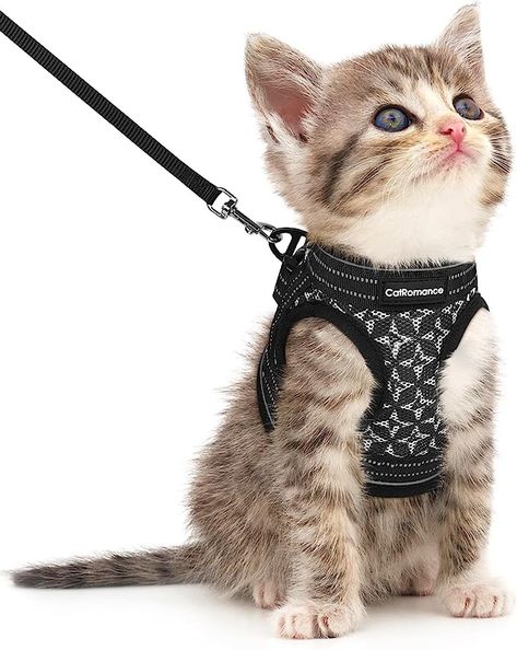 Pet Supplies : CatRomance Cat Harness and Leash, Escape Proof Kitten Harness and Leash Set for Walking, Adjustable Cat Vest Harness for Kitten, Breathable Kitty Harness ​with Reflective Strips and Easy Control : Amazon.com Best Cat Harness, Kitten Harness, Cat Harness And Leash, Small Kitten, Harness And Leash Set, Small Dog Harness, Dog Pool, Vest Harness, Small Kittens