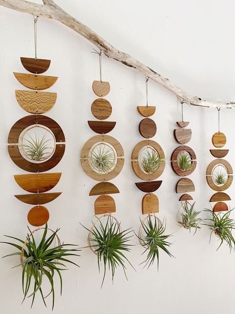 Air Plant Wall Display, Plant Wall Display, Air Plant Wall, Carillons Diy, Airplant Wall, Air Plants Decor, Bohemian House Decor, Wall Plant Hanger, Plant Wall Art