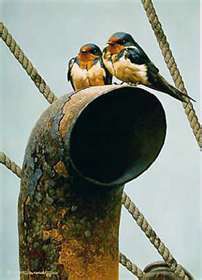 Art of Carl Brenders Carl Brenders, Swallow Art, Barn Swallow, Barn Painting, Animal Artwork, Wildlife Paintings, Kestrel, Wildlife Artists, Forest Animal