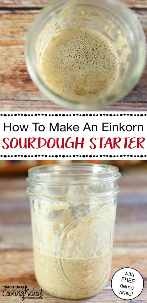 Sourdough Starter Video, Whole Wheat Sourdough Starter, Einkorn Sourdough Starter, Wheat Sourdough Starter, Macro Eating, Einkorn Sourdough, Starter Sourdough, Make A Sourdough Starter, Fermented Recipes