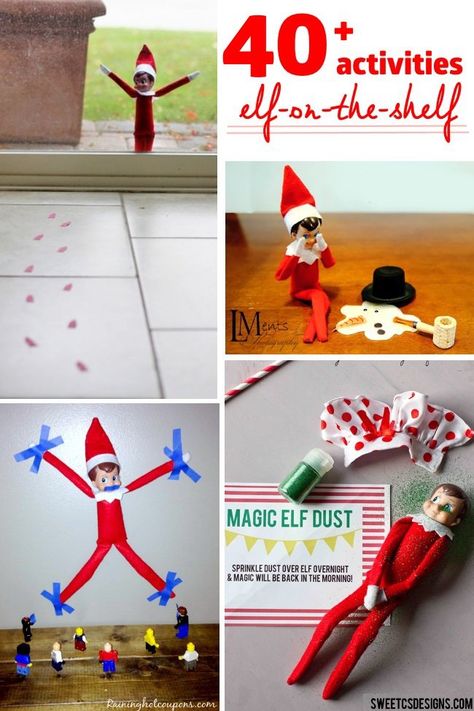 Elf-on-the-Shelf Ideas Elf Shenanigans, House Elf, Elf Activities, Xmas Elf, Elf Antics, Elf Fun, Elf Ears, Christmas Tradition, Elf Ideas