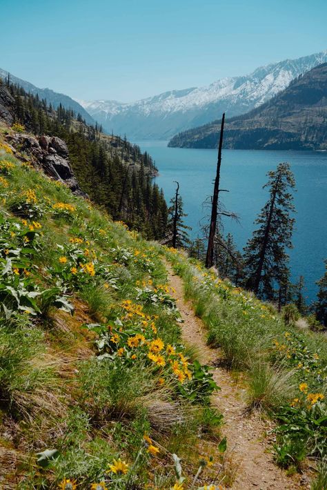 Stehekin Washington, Pnw Coast, Lake Chelan, Washington State Travel, Washington Hikes, Washington Travel, North Cascades, Nature Adventure, Camping And Hiking