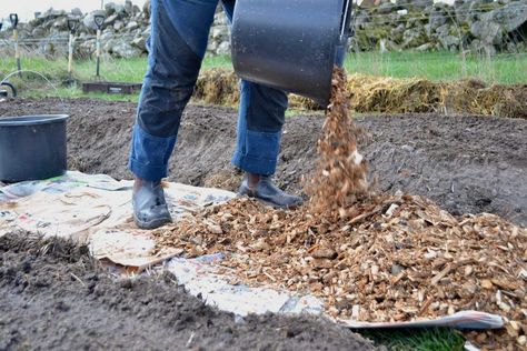 Wood Chip Garden, Wood Chips Landscaping, Wood Chips Garden, Wood Mulch, Modern Garden Design, Wood Chips, Garden Pathway, Garden In The Woods, Kitchen Garden