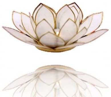 Trimontium TL12020G Tea Light Holder in the Shape of a 3-Leaf Lotus Flower - Windowpane Oyster / 14 x 14 x 8 cm, natural, 14 x 14 x 8 cm: AmazonSmile: Kitchen & Home Lotus Flower Colors, Chakra Lotus, Romantic Tea, Lotus Tea, Gold Mosaic, Vintage Jars, Capiz Shell, Vintage Candle Holders, Leaf Flowers