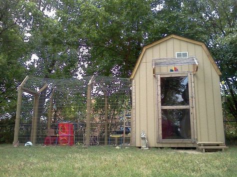 Cat Shed, Outdoor Cat Shelter Diy Winter, Outdoor Cat Kennel, Outdoor Cat Shelter Summer, Outdoor Kitten Shelter, Outdoor Feral Cat Shelter, Outdoor Stray Cat Shelter, Cat Shack, Dark Home Aesthetic