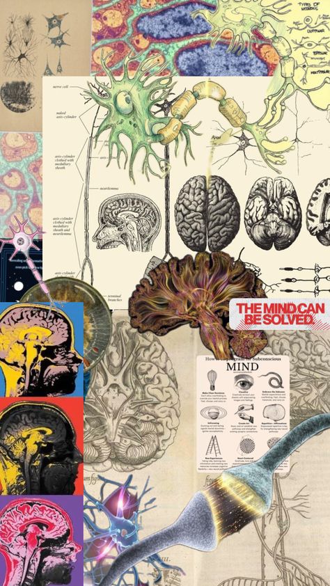 #neuroscience #science #brain #psychologyaesthetic Wallpaper Psychology, Psychology Wallpaper, Psychology Posters, Medical Wallpaper, Brain Anatomy, Brain Art, Cool Science Facts, Medical School Motivation, Medical School Inspiration