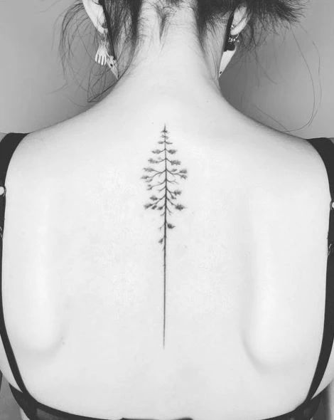 The Pine Tree Tattoo Meaning And 105 Powerful Tattoos To Compel You Simple Tree Tattoo, Tree Tattoo Meaning, Pine Tattoo, Tree Tattoo Back, Tattoo Tree, Tree Tattoos, Pine Tree Tattoo, Stylish Tattoo, Spine Tattoos For Women