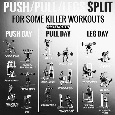 Pull Bar Workout, Lower Body Pull Exercises, Push Pull Workout Routine, Push Day Workout, Pull Workout, Push Pull Workout, Pull Day Workout, Full Body Weight Workout, Workout Split