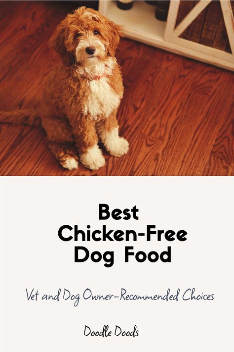 If you’re looking for a healthier and hypoallergenic alternative to traditional dog food, you’ll want to check out BEST CHICKEN-FREE DOG FOOD. This premium, non-GMO dog food recipe is made with only the finest plant-based proteins and wholesome ingredients, giving your pup all the nutrition they need with none of the chicken by-products found in regular dog food. Not only is it healthier for your pup, but it also gives your fur baby the flavor they deserve. #dogfood #doodles #doodledoods Chicken Froed Rice, Froed Rice, Dog Food Recipe, Salmon And Rice, Smart Dog, Food Choices, Dry Dog Food, Plant Based Protein, The Chicken