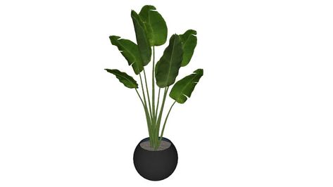 potted plant | 3D Warehouse Plants 3d Warehouse, Plant 3d Warehouse, Indore Plants, Warehouse Architecture, Sketchup Warehouse, Wooden Wardrobe Design, Concrete Plant Pots, Sketchup Models, Landscape Architecture Drawing