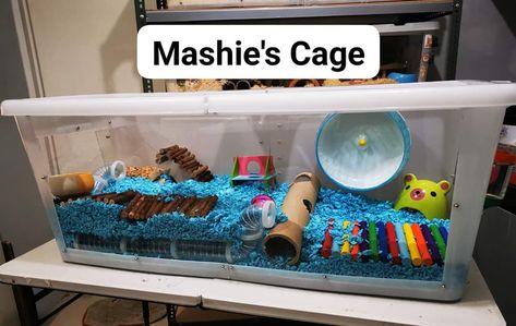 Storage Bin Hamster Cage, Bin Hamster Cage, Hamster Diy Cage, Hamster Diy, Pet Guinea Pigs, Hamster Cage, Small Animals, Hamsters, Storage Bin