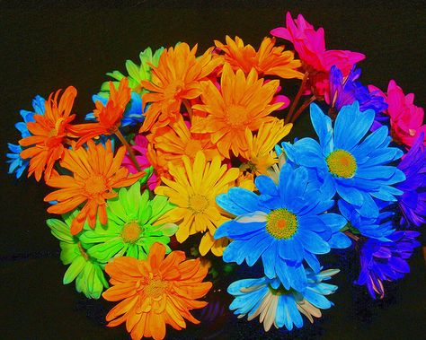 Crazy Daisies...wedding flowers :-) Daisy Tumblr, Chrysanthemum Seeds, Daisy Wedding Flowers, Daisy Tattoo, Daisy Wedding, Crazy Daisy, Amazing Gift Ideas, Floral Arrangements Diy, Chrysanthemum Flower