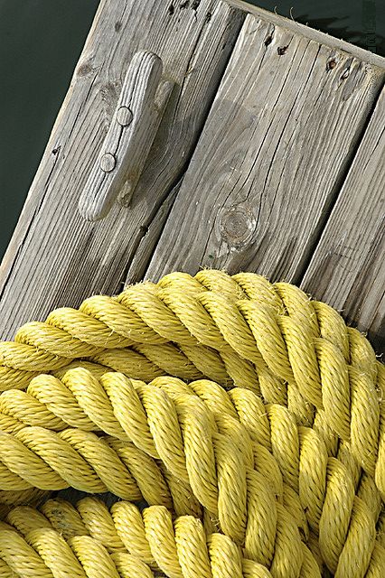 Canary Yellow Aesthetic, Yellow Ocean Aesthetic, Yellow Dock, Yellow Macrame, Yellow Inspiration, Subtractive Color, Camden Maine, Yellow Sea, Jaune Orange