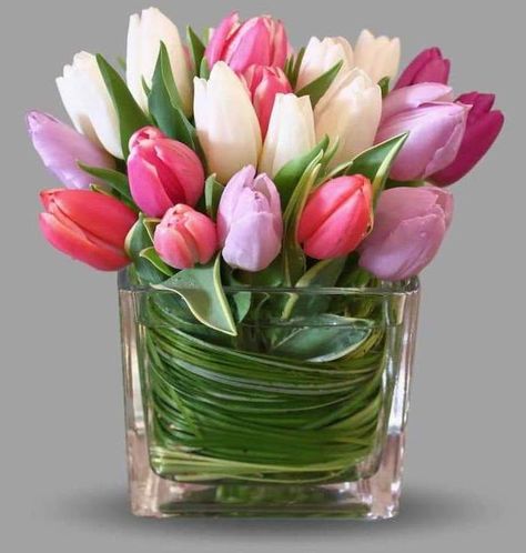 pink-white-purple-tulips-small-square-vase-grey-background-floral-centerpieces Tulpen Arrangements, Easter Flower Arrangements, Tulips Arrangement, Tulips Garden, Fresh Flower Delivery, Tulip Bouquet, Easter Flowers, Fresh Flowers Arrangements, Trendy Flowers