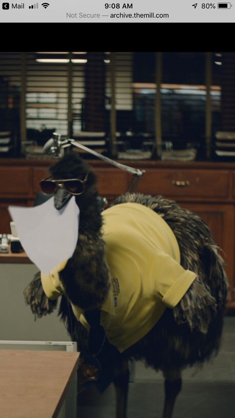 Limu Emu from Liberty Mutual Emu Animal, Liberty Mutual, Fall Yall, Halloween 2024, Emu, Bald Eagle, Animal Photography, Preschool, Holidays