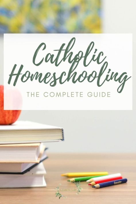 Catholic Homeschool Curriculum, Rooms Organization, Mother Of Divine Grace, Homeschool Family, Catholic Homeschool, Homeschool Books, Online Homeschool, Catholic Family, Homeschool Encouragement