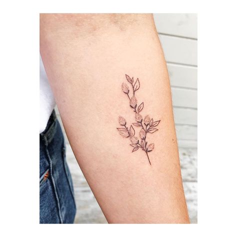 Willow Flower Tattoo, Pussywillow Tattoos, Willow Flower, Branch Tattoo, Rabbits Foot, Bunny Tattoos, Cat Tattoos, Willow Branches, Dog Tattoo