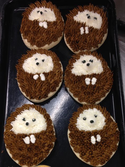 Hedgie Cookies Hedgehog Cupcake, Smile Tips, Hedgehog Cookies, Hedgehog Cake, Hedgehog Birthday, Desserts Ideas, Cake Inspo, Animal Cookies, Bright Smile