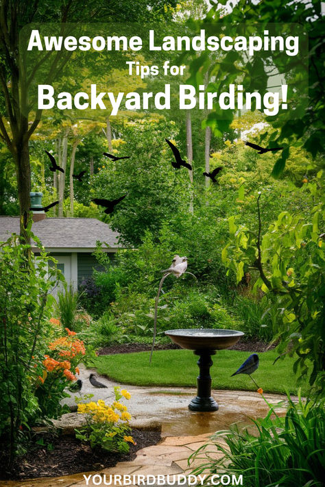 Transform your yard into a bird paradise with our 7 key steps to Birdscaping Garden, enticing feathered friends to flourish in your space. Bird Yard Ideas, Backyard Birds Sanctuary, Bird Paradise, Play Area Backyard, Ideas Backyard, Landscaping Tips, Dream Backyard, Backyard Birds, Bird Garden