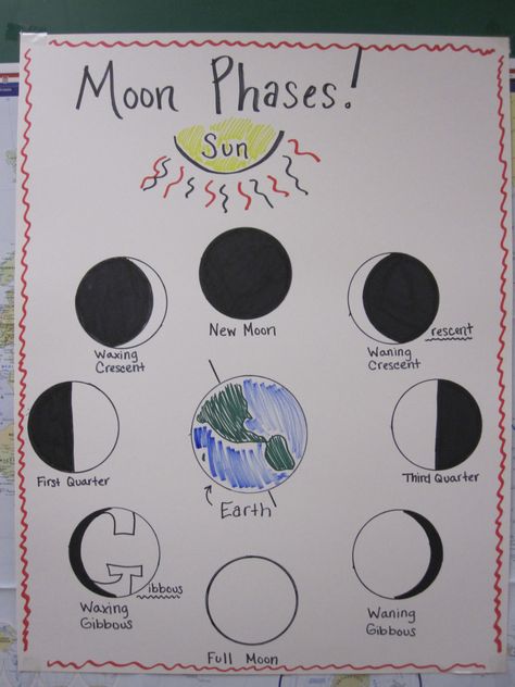 Moon Phases Poster - Something like this for an alternate activity for those that don't want to do wearable? Moon Phases Worksheet, Moon Phase Project, Moon Activities, Science Anchor Charts, Moon Projects, Moon Crafts, 8th Grade Science, 4th Grade Science, 6th Grade Science