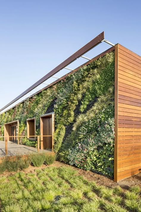 https://flic.kr/p/xL8L87 | Green house | Living wall intallation at Bay Meadows, San Mateo, CA Green Facade, Green Roofs, Living Walls, Vertical Gardening, Green Architecture, Vertical Gardens, Green Walls, Rooftop Garden, Design Exterior