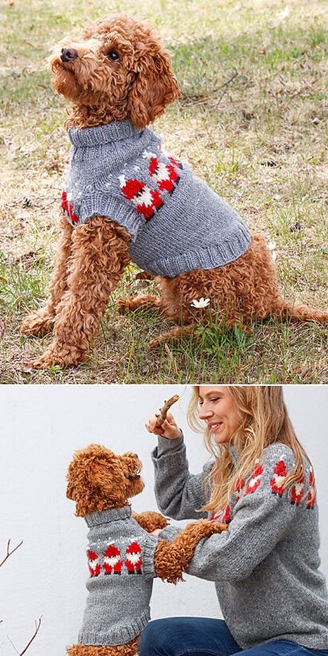 Santa Baby Song, Dog Jumper Knitting Pattern, Knitting Patterns For Dogs, Sweater Free Knitting Pattern, Knitted Christmas Jumpers, Dog Sweater Pattern, Crochet Dog Sweater, Santa Dog, Knit Dog Sweater