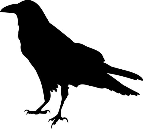 Raven Silhouette Vector Art image - Free stock photo - Public Domain photo - CC0 Images Crow Silhouette, Butterfly Stencil, Halloween Wood Crafts, Crow Tattoo, Crows And Ravens, Crow Art, Raven Art, Halloween Silhouettes, Black Birds