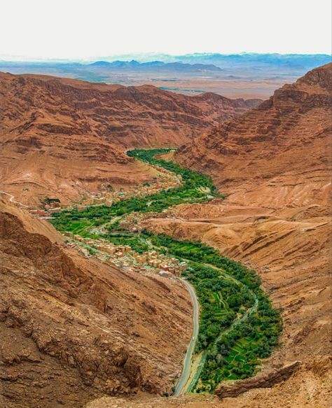 Valley in the middle of desert in Morocco #Morocco #Red #City #Sunset #Marrakesh #Marocco #Maroc #Marrokko #Morokko #Maroko #Marruecos #Moroccan #Marocain #Marocaine #Marroqui #Maroqui #Maghreb #aesthetic #hd #hq #valley #desert Morocco Beach, Morocco Trip, Red City, Rent Car, City Sunset, Car Rentals, Aerial Photo, Beach Landscape, North Africa