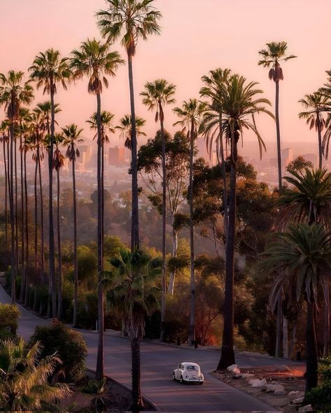 Los Angeles Aesthetic, All Inclusive Trips, Los Angeles Travel, Los Angeles City, First Day Of Summer, City Of Angels, California Love, California Dreamin', California Dreaming