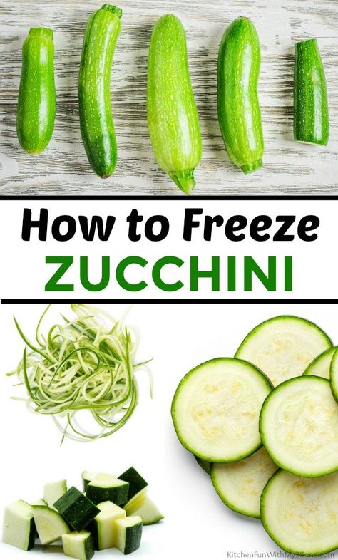 Don't let all the extra zucchini from your garden go to waste! Learn the How to Freeze Zucchini to make healthy tasty meals later when it is no longer in season. How To Freeze Zucchini, Freezing Zucchini, Freezing Vegetables, Zucchini Plants, Fresh Zucchini, Winter Baking, Canning Ideas, Freeze Greens, Easy Zucchini