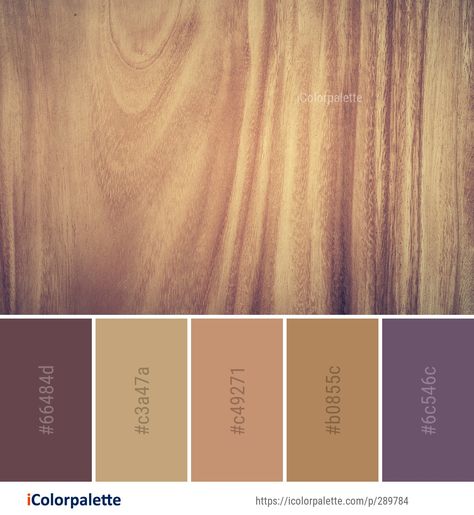 855 Wood Color Palette ideas in 2024 | iColorpalette Wood Color Palette, Camel Color Palette, Color Palette From Image, Beauty Bedroom, Laminate Flooring Colors, Flooring Hardwood, Black And White Books, Brown Floor, Flooring Wood