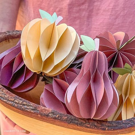 Paper Flower Diy Easy, Honeycomb Craft, Paper Flower Decorations, Paper Flower Diy, Diy Honeycomb, Paper Flowers Diy Easy, Honey Diy, Shape Collage, Paper Christmas Decorations