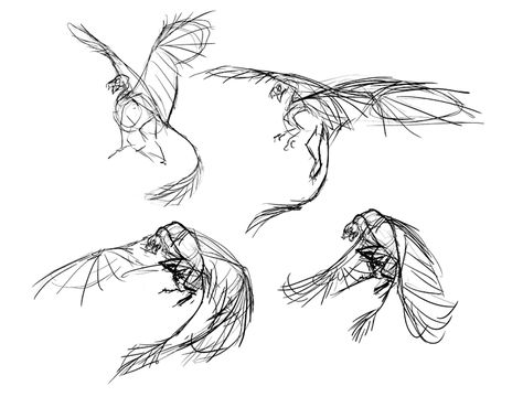 Griffin Pose Reference, Dragon Flying Poses Reference, Flying Griffin, How To Draw A Griffin, Griffin Flying, Griffin Character Design, Griffin Sketch, Griffin Oc, Griffin Art