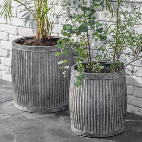 Framing Doorway, Rectangular Planters, Hydrangea Not Blooming, Steel Planters, Tall Planters, Potted Trees, Metal Planters, Large Planters, Solar Garden