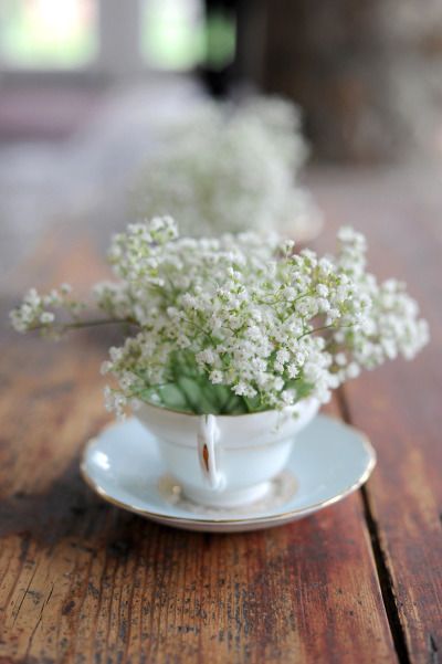 Flowers In A Teacup, Tea Cup Centerpieces, Teacup Flowers, Flower Cup, Baby S Breath, Rustic Country Wedding, Wedding Arrangements, The Vault, Early Spring