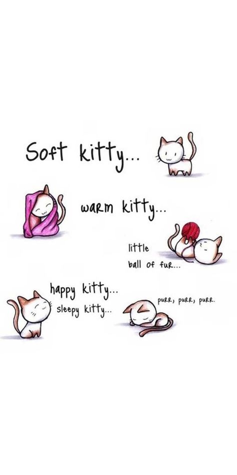 Soft Kitty, Warm Kitty, Little Ball Of Fur, Happy Kitty, Sleepy Kitty, Pur, Pur, Pur, Big Bang Theory, Sheldon Cooper, Wallpaper Sheldon Cooper Wallpaper, Iphone Wallpaper Funny, Cooper Wallpaper, Big Bang Theory Quotes, Big Bang Theory Funny, Big Ban, The Big Band Theory, Big Bang Theory Sheldon, Happy Kitty