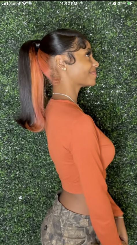 Peekaboo Ponytail Weave, Skunk Stripe Ponytail, Slick Ponytail Weave, Sleek Braided Ponytail, Hair Stripes, Barbie Ponytail, Skunk Stripe, Sleek Ponytail Hairstyles, Black Ponytail Hairstyles