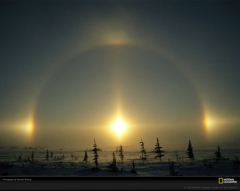 Sundog Light Phenomenon, Manitoba, Canada, 2005.  Photograph by Norbert Rosing #sun #canada Sun Dog, Sun Dogs, Atmospheric Phenomenon, Sun Sets, To Infinity And Beyond, Natural Phenomena, Beautiful Sky, Heaven On Earth, Science And Nature