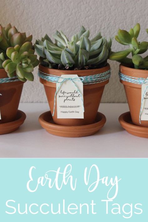 Give the gift of mother nature on Earth Day with potted succulents. Life would succ without plants. Earth Day Gift Ideas, Earth Day Marketing Ideas, Earth Day Gifts, World Earth Day, Hedgehog Birthday, Succulent Gifts, Painted Pots, Succulent Pots, Gifts For Adults