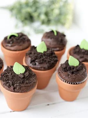 Earth Day Desserts, Food Recipes For Dinner, Kids Market, Dinner Desserts, Chocolate Fudge Frosting, Fresh Groceries, Recipes For Dinner, Digital Coupons, Cute Cupcakes