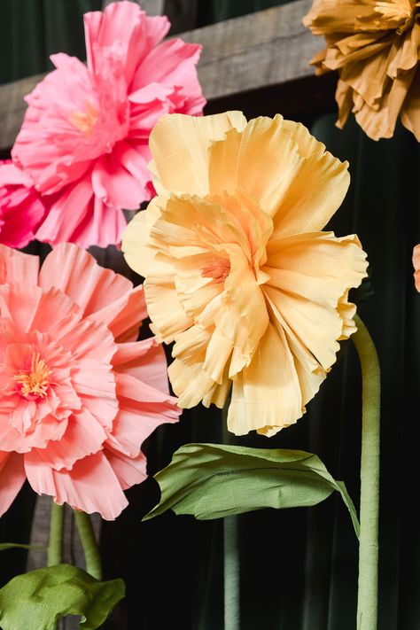 Make these oversized flowers for your next spring or Easter decor idea - giant crepe paper flower DIY! Oversized Foam Flowers Diy, Large Paper Poppy Flowers Diy, Diy Crepe Paper Leaves, Giant Leaves Diy, Large Crepe Paper Flowers Diy, Giant Crepe Paper Flowers Diy, Big Paper Flowers Diy, Oversized Paper Flowers, Onam 2024