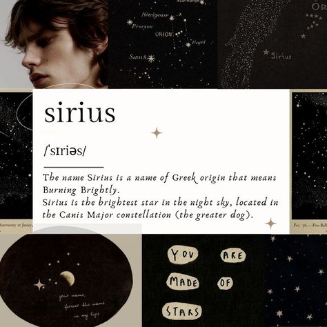 Names Of Stars, Astronomy Quotes, Sirius Star, Astronomy Facts, Writing Plot, Fantasy Names, Essay Writing Skills, Aesthetic Names, Cute Words