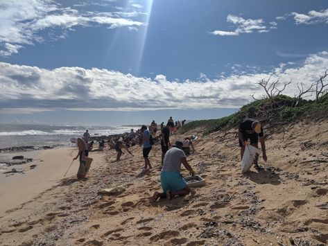 Beach Cleanups do more than Clean the Beach Beach Cleanup, Cleaning The Beach Drawing, Environmental Art Projects, Beach Pollution, Plastic Pollution In Ocean, Ocean Cleanup, Salisbury Beach, Beach Clean Up, Clean Beach