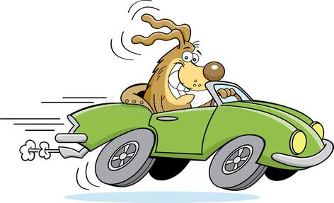 Cartoon dog driving a car. Cartoon illustration of a dog driving a car #Sponsored , #paid, #AFFILIATE, #dog, #car, #driving, #Cartoon Animals Driving, Dog In Car, Dog Driving, Cars Illustration, Cartoon Car Drawing, Funny Cartoon Images, Car Stock, Car Vector, Cartoon People