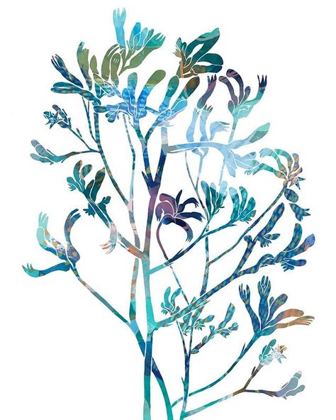 Day 25. Kangaroo Paw 💕 #31artworksin31days . . . . #kangaroopaw #australiannative #australiana #australianart #australianartist… Australian Kangaroo Paw Painting, Blue Kangaroo Paw, Paw Painting, Paw Art, Native Print, Paw Tattoo, Sketchbook Illustration, Kangaroo Paw, Watercolor Sketchbook