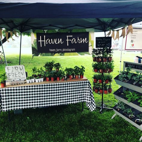 Plant Sale Display Craft Fairs, Plant Farmers Market, Farmers Market Table Display Ideas, Plant Market Display, Farmers Market Stalls, Farmers Market Plant Stand, Farmers Market Vegetable Display, Farmers Market Produce Display, Farmers Market Table Set Up